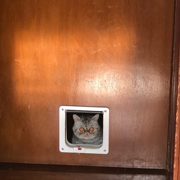 Meet your Posher, Xi - Picture 3 of 4